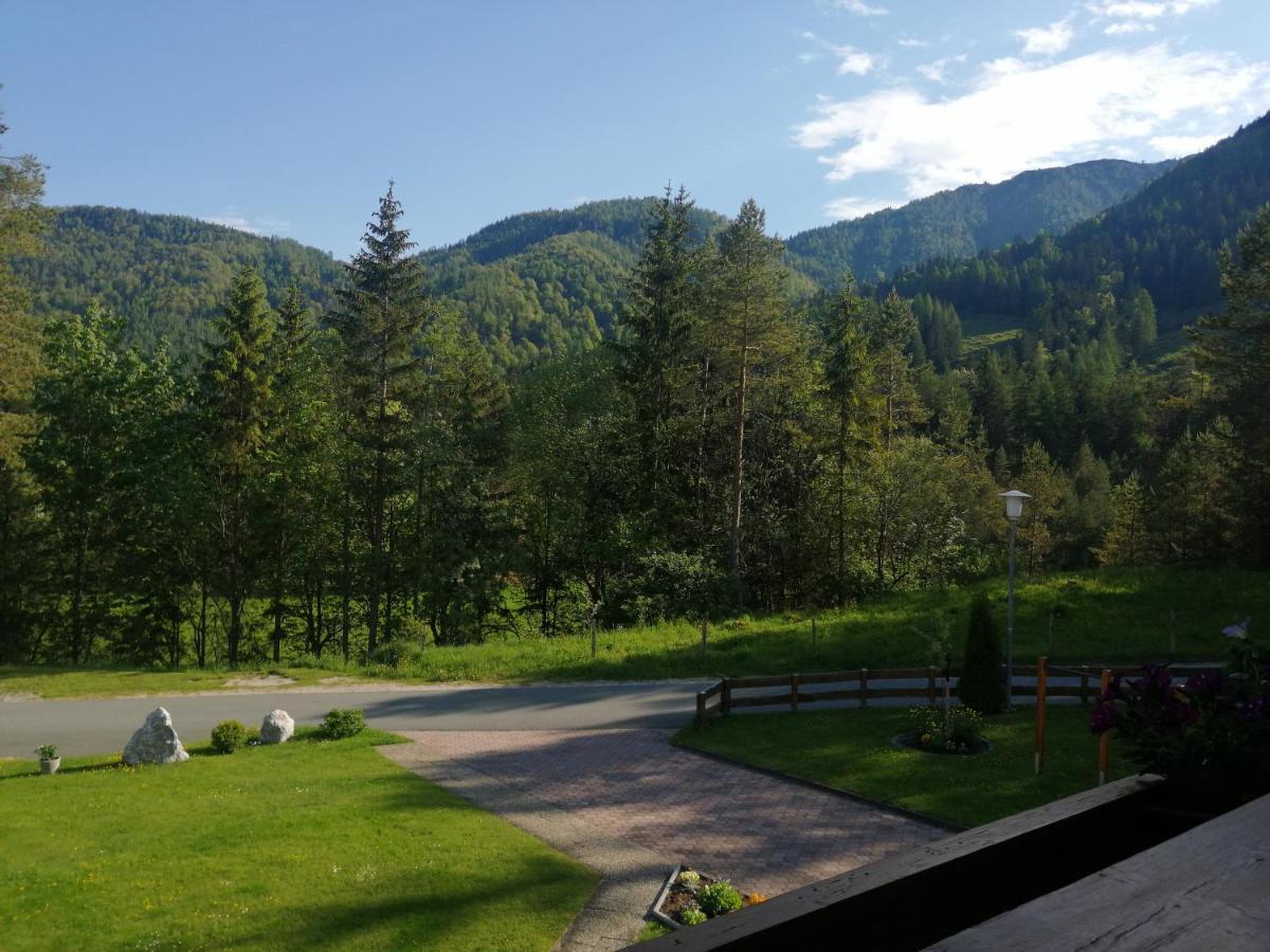 Апартаменты Haus Friedl Санкт-Ульрих-ам-Пиллерзее Экстерьер фото